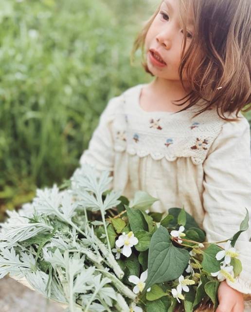 子どもたちと迎えた春の味、タサン志麻がよもぎ餅作りに初挑戦