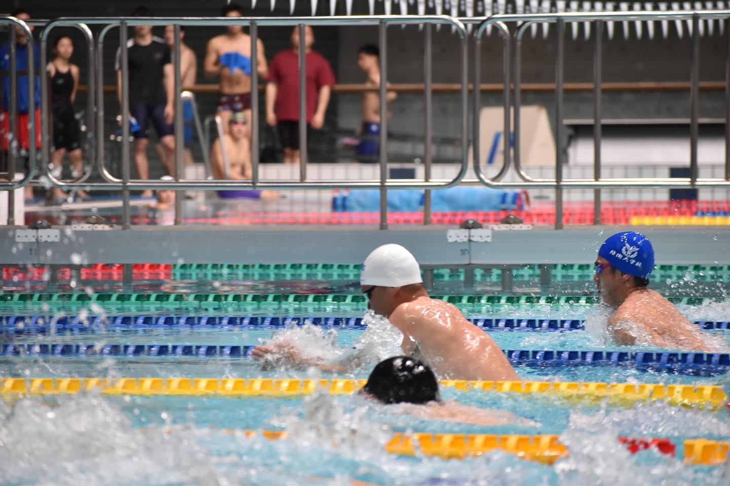 北島康介🏊‍♀️ 19日東京都マスターズ  7年振りの大会