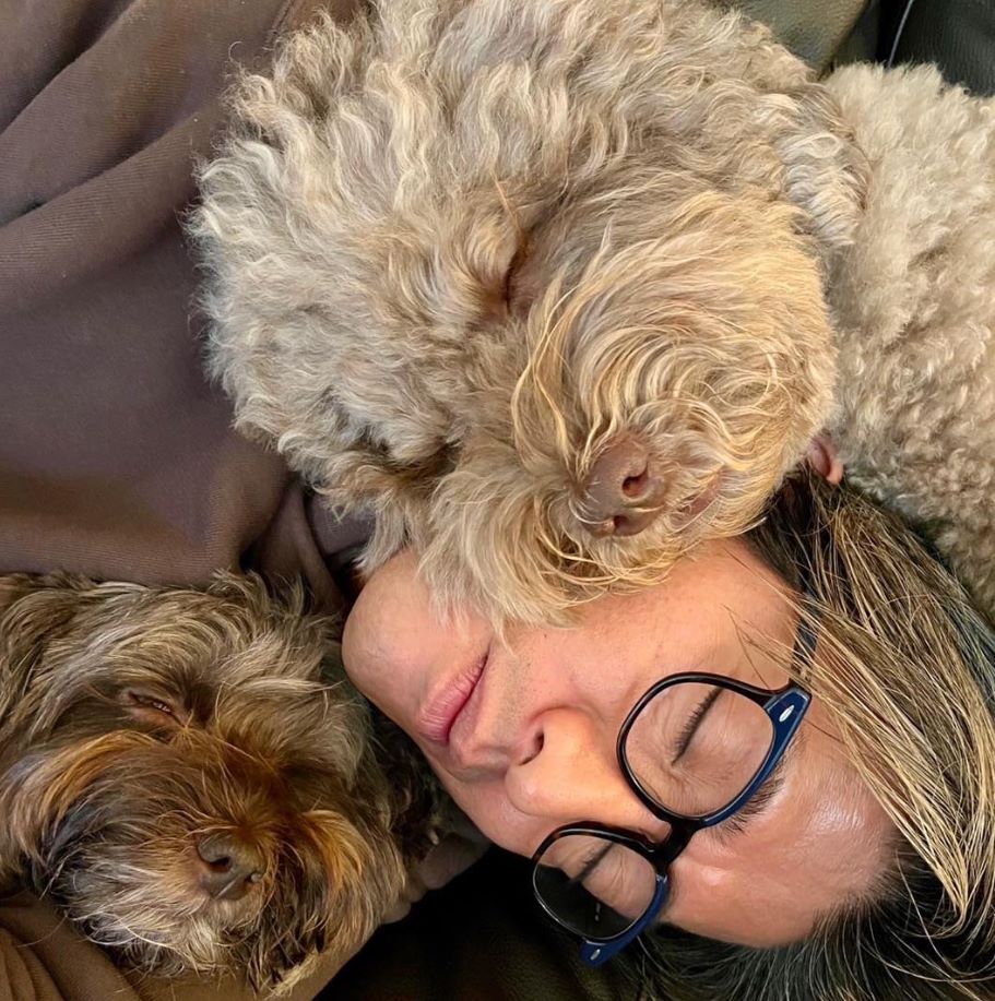 「幸せMAX」木村拓哉が愛犬たちとのお昼寝を公開