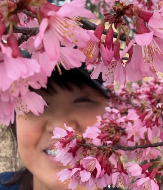 タレント・北斗晶 桜に埋もれる！「春ですね～」とファンも続々反応！