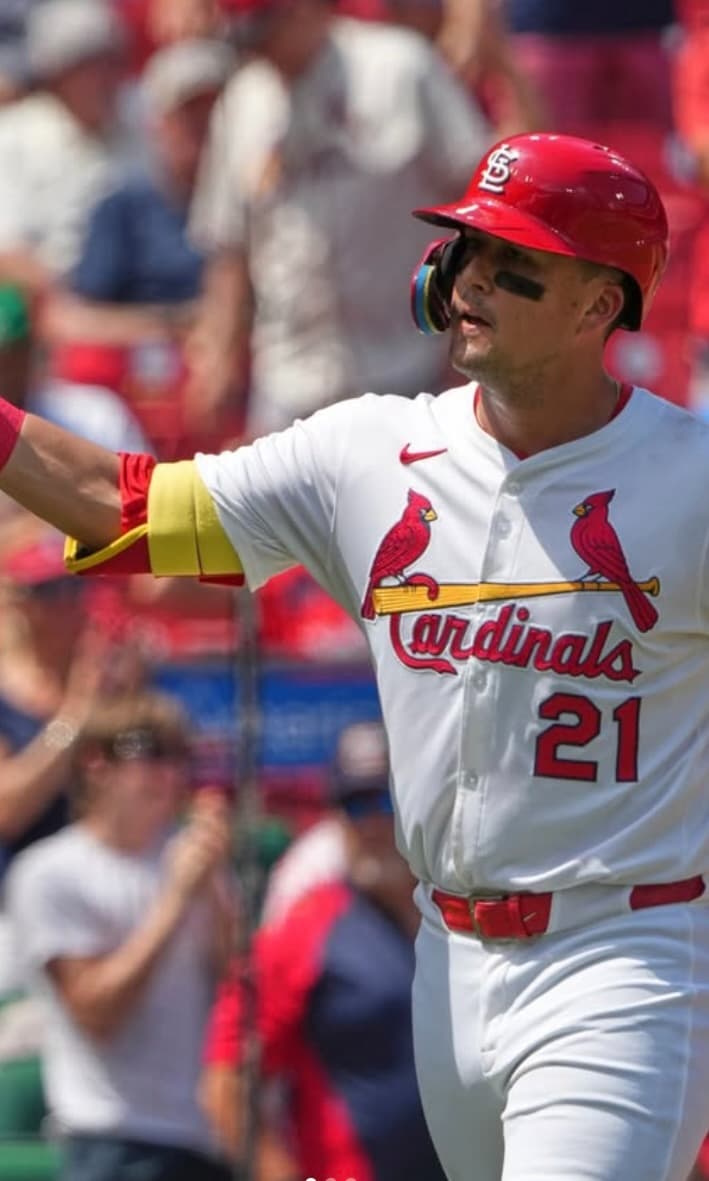 たっちゃん大活躍！カージナルスのヌートバー、またホームラン MLB Japan