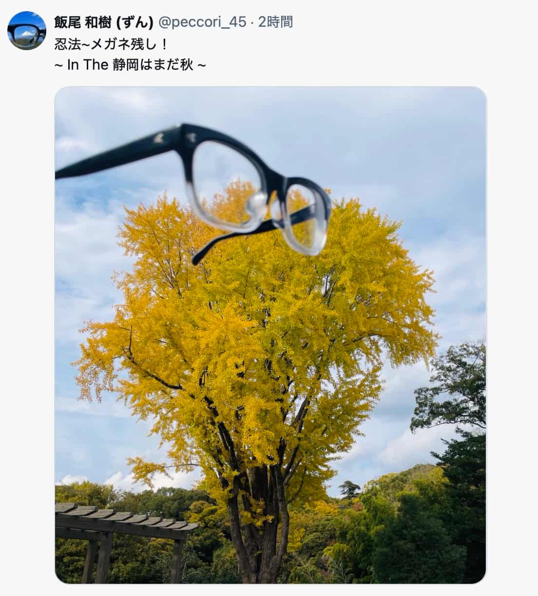 ずんの飯尾、紅葉の静岡で「忍法~メガネ残し！」ユーモア溢れる投稿が話題