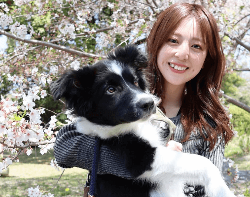 「新しく家族が増えました」サッカー美女キャスター、可愛すぎて”震える”とガチ惚れのボーダーコリーと2S！目標も語る「めちゃくちゃ可愛いです」