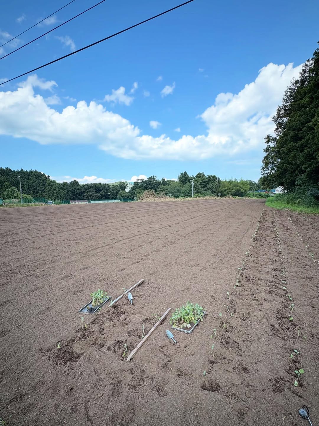 「今日から〇〇〇〇〇〇を植えております！」元プロ野球選手・石橋良太があの野菜作りの開始を報告！
