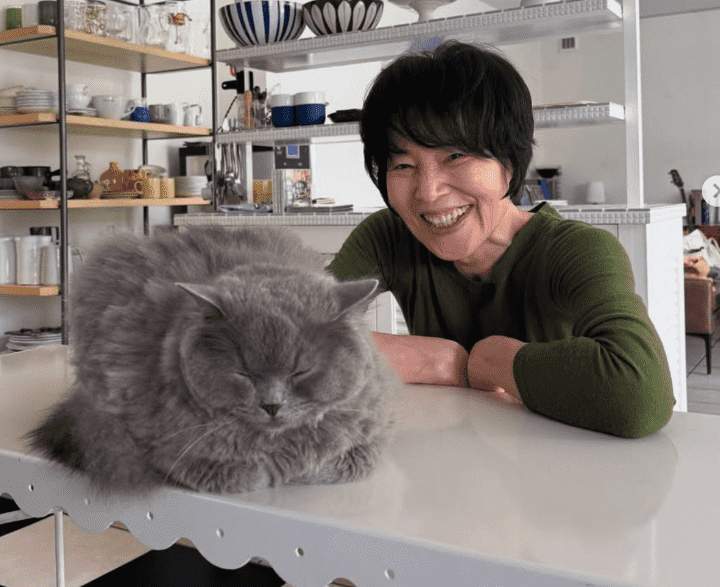 栗原はるみ、愛猫のサービスショット!「滅多に見られないもやしの香箱坐りです」