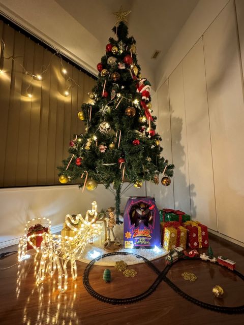 売れっ子アイドルが念願の”○○”を購入！かわいすぎるクリスマスの一幕を公開！