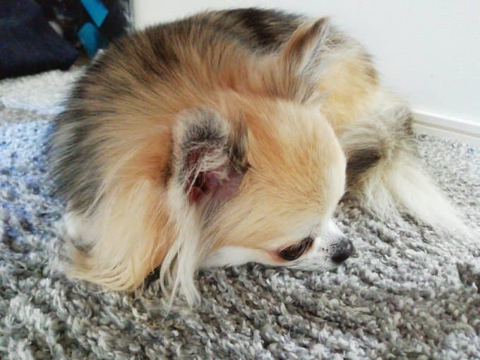 三木眞一郎が本日のポエムを投稿！！日本を縦断する台風に憂う！