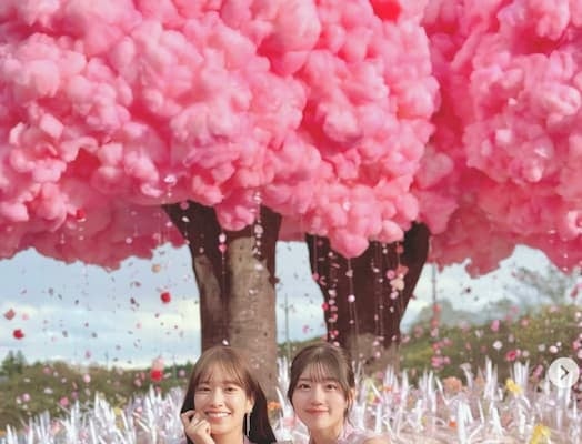 日向坂46・佐々木美玲、“私にとってこれが最後のシングル。”「卒業写真だけが知ってる」発売を報告！