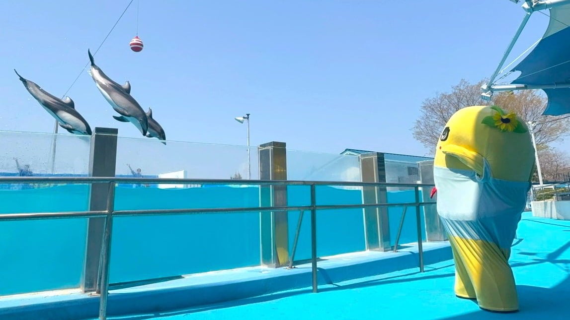 ふなっしー×イルカの“ひんやり朝ショット”に「涼感ブシャー」の声も