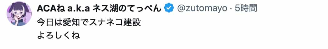 ずっと真夜中でいいのに。ACAね、愛知公演「スナネコ建設」を告知