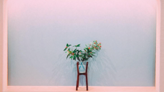 ベッキー、新年のキーワードは『これも私！』 自分らしさを抱きしめる決意