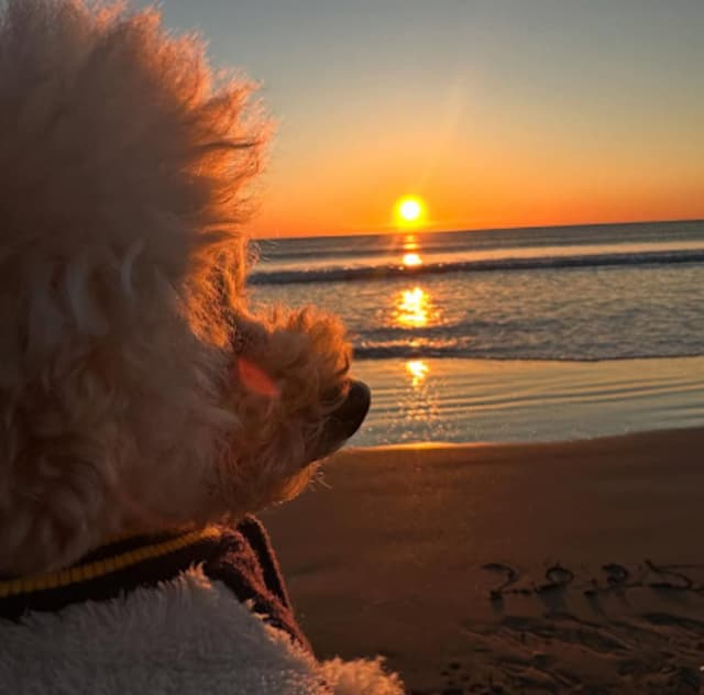 永井花奈、『初日の出と共に』2025年のスタートを報告！