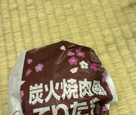 ノンスタイル井上、マクドナルド『炭火焼肉風てりたま』に「めっちゃ美味い！」と絶賛