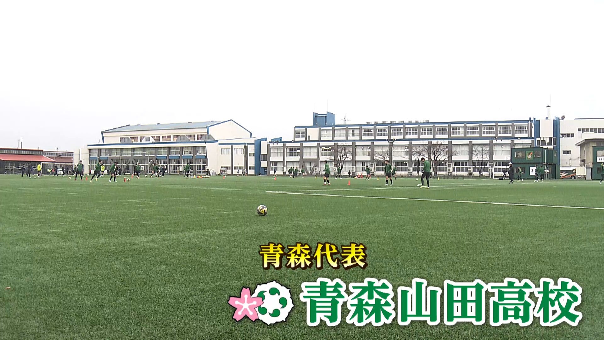 【代表校紹介】青森県代表 青森山田を紹介！｜第104回全国高校サッカー選手権大会
