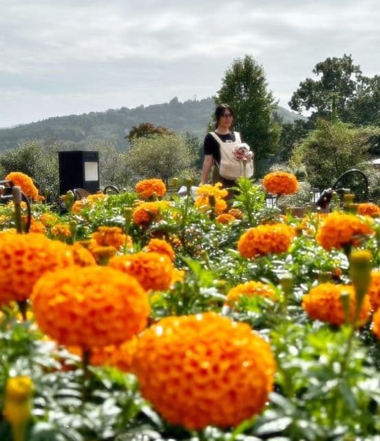 愛犬と同じ日付！？タレント 磯山さやか 誕生日を迎える！