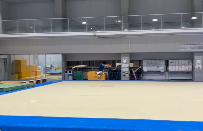 体操・白井健三　前十字靭帯断裂からの復活へ「大きな怪我をした技を取り戻せた」