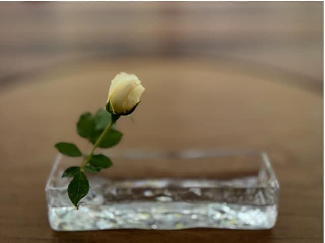 中谷美紀が庭に咲く花をアーティスティックに