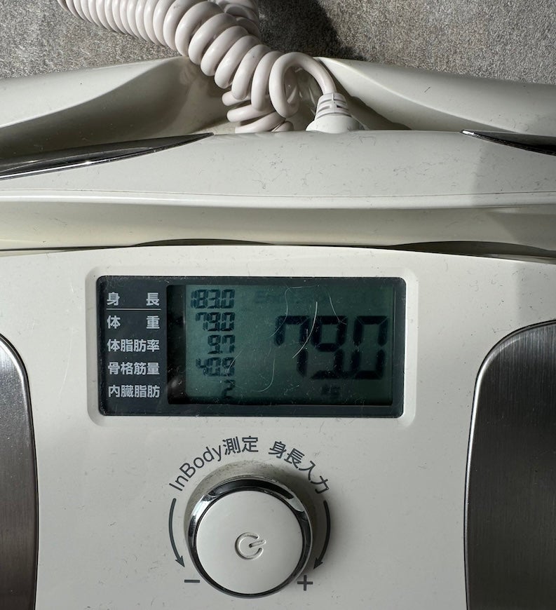 「2週間で10キロ減量!?」元K-1王者が地獄の減量