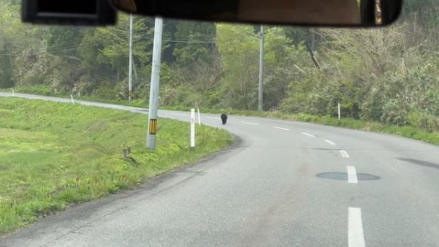 「え？え？？怖い。。」狩野英孝がロケ中に〇〇発見!?投稿された映像にファンも衝撃