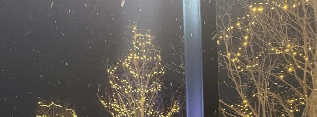 乃木坂46・金川紗耶、地元にあるエスコンフィールドのイルミネーションにうっとり！