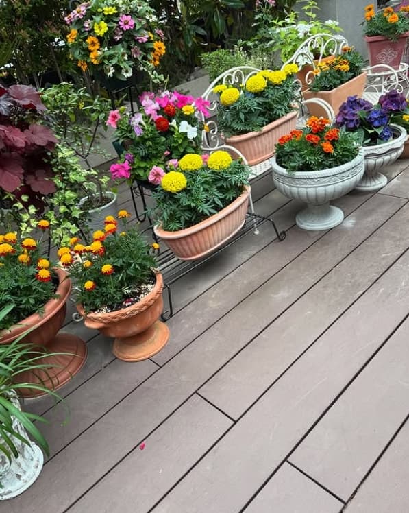 “おうちガーデン”が映えすぎ！小川菜摘が公開したお庭に注目集まる‼