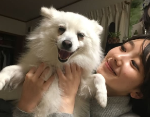 波瑠、愛犬むくの旅立ちを報告「愛しい足音が聞こえなくなってもう一年」