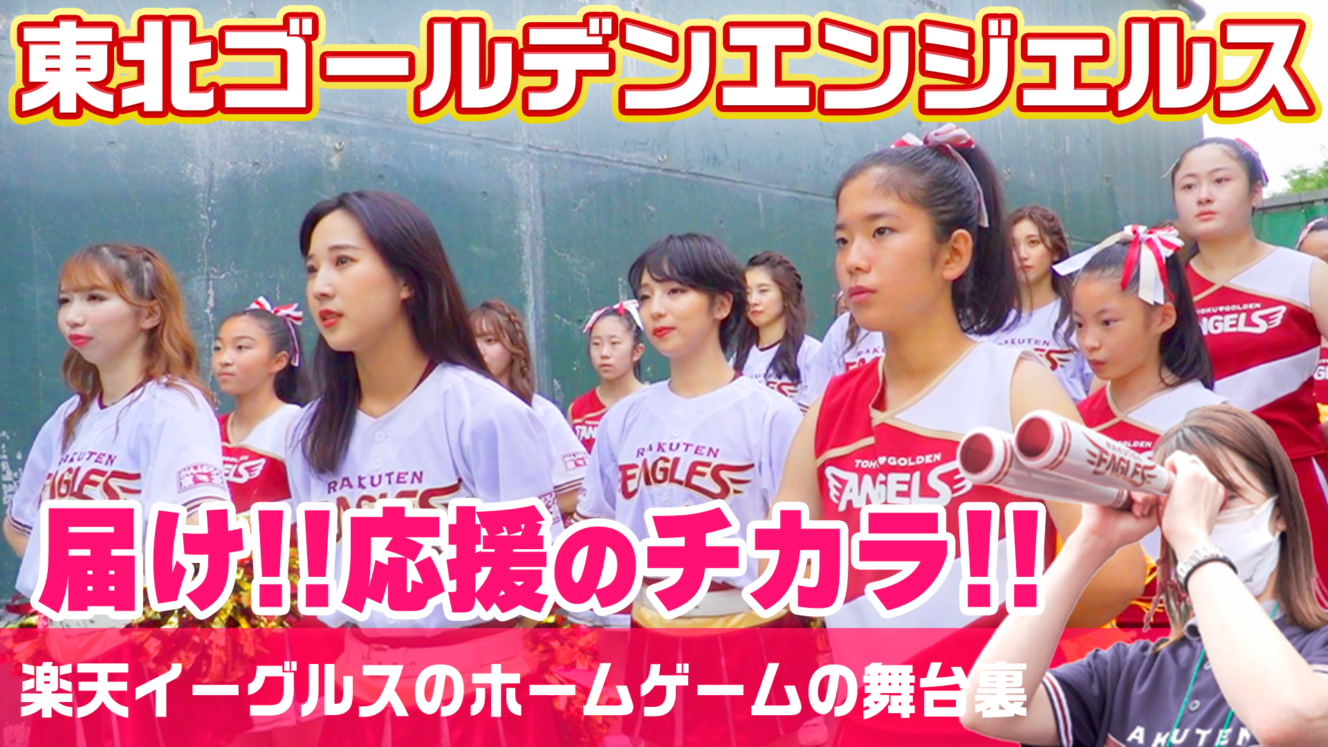 スタジアムが一体になる瞬間！寺川綾が東北ゴールデンエンジェルスに密着取材！