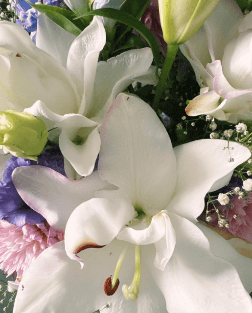 「洗濯大名頑張ってね」菊池風磨のＴシャツに付いた“落ちにくいもの”に注目集まる