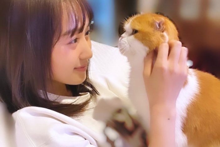 菅井友香が愛猫トムと見つめ合う癒しショット披露📸💕