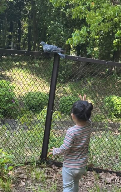 丸山桂里奈が家族団欒のかけがえのない時間を動画で公開！愛娘の愛らしい後姿に魅了されるファン続出⁉