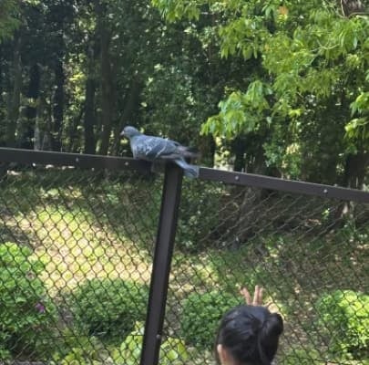 丸山桂里奈が家族団欒のかけがえのない時間を動画で公開！愛娘の愛らしい後姿に魅了されるファン続出⁉