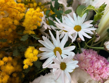 根本美緒、震災から14年の想い 「風化させずに語り継ぐことが大切」