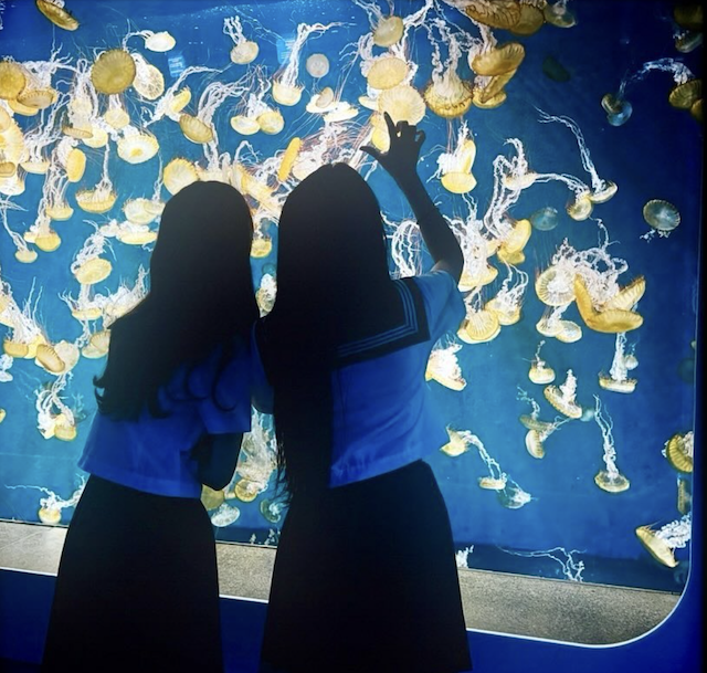 お揃いのセーラー服でお出かけ！乃木坂46筒井と川崎