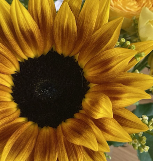 オリックス・田嶋大樹が年上美人モデルとの結婚を発表