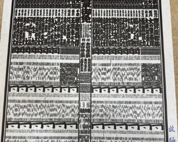 「一山本、自己最高位更新！」放駒部屋の新番付発表にファン熱狂！