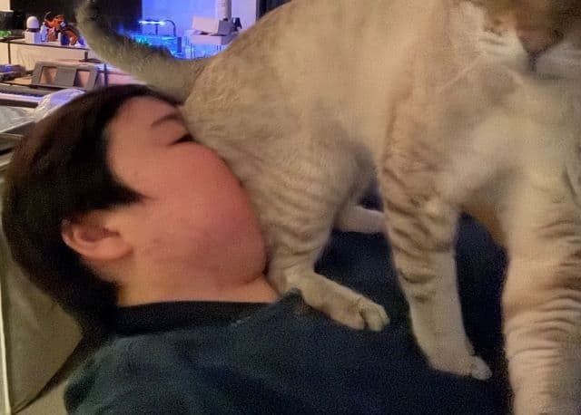 やす子の顔面にご利益！？愛猫アビシとのユニークな一幕がファンの心を癒すほっこり投稿