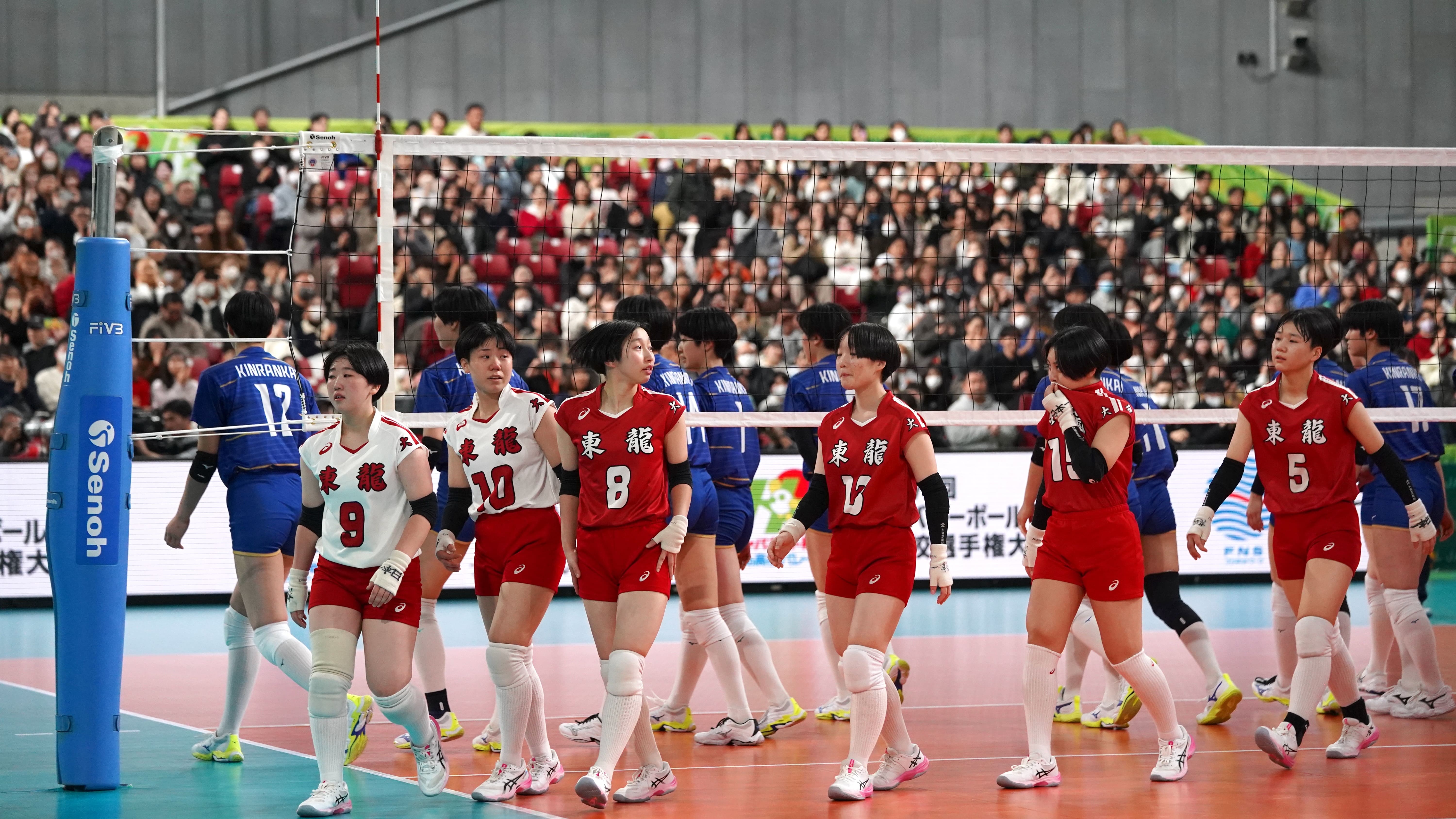 【春高バレー2026・写真特集】女子準決勝　金蘭会 vs. 東九州龍谷の激闘を写真で振り返ろう！