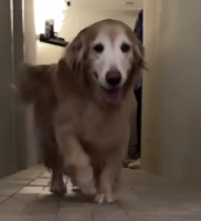 石田ゆり子、「雪とこぐま」の可愛い再会ショットにファンも癒される！