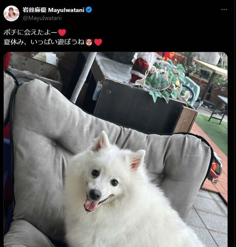 STARDOM　岩谷麻優、X（旧Twitter）で愛犬との交流を披露！ファンからの温かい反応相次ぐ