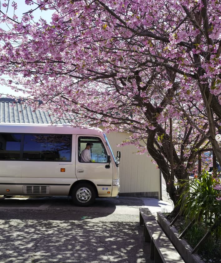 新田さちかが「いつかの甘いひと時」とコメントに桜満開の画像を投稿！