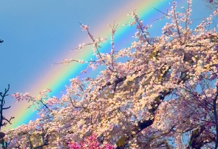 【奇跡の一枚】蜷川実花が捉えた“天気雨の後の虹”が話題！「合成かと思った」「持ってる女」ファン驚愕！