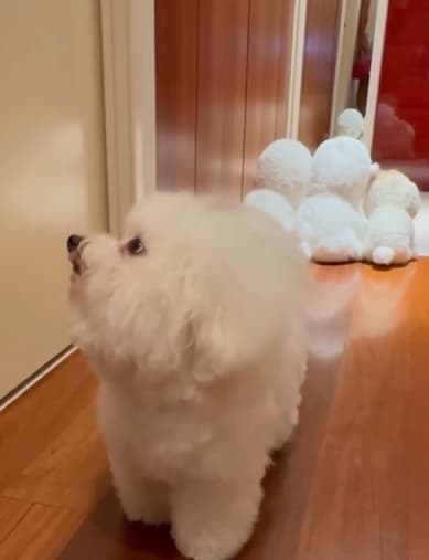 槙野智章　金曜日の約束！ぱんちゃん、幼稚園でちゃんとやってるかな⁉︎