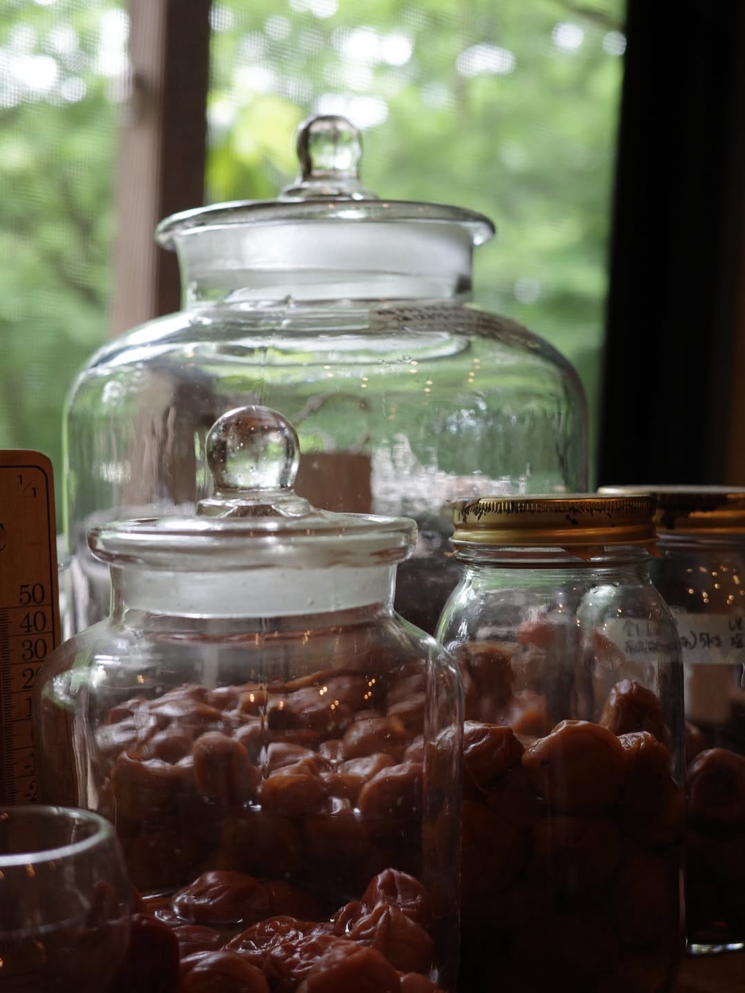 井上咲楽、実家での癒し時間を公開　“素敵すぎる”と反響続々