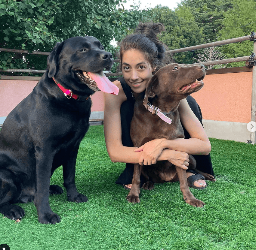 森泉、インスタグラムで一時預かり中の写真公開！！フォロワーの反応が”かわいい”