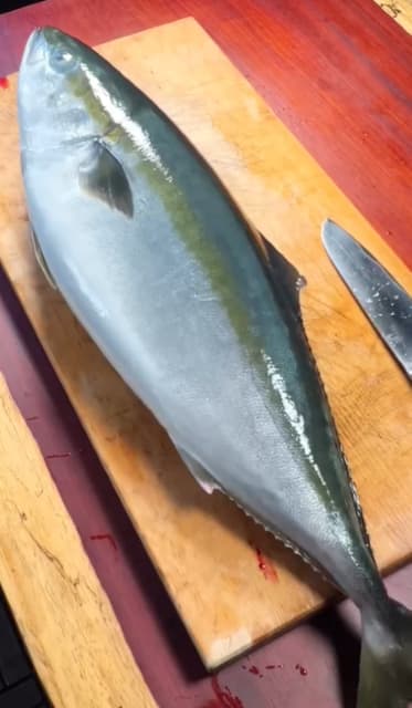 調理技術が凄すぎ！料理研究家・けんた食堂、ブリの解体ショーを披露！