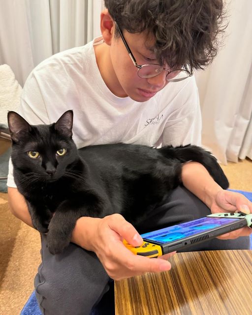 「構ってほしいニャ」ミキ・亜生アップの愛猫