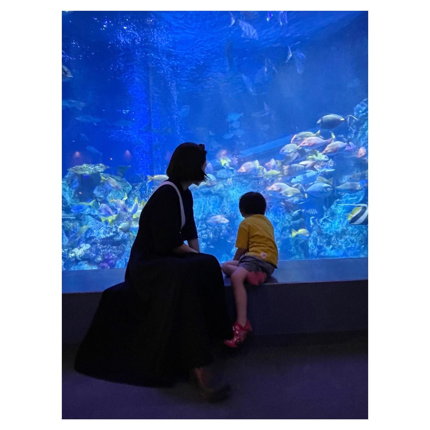前田敦子さんが長男と水族館へ「こんなに大きくなったんですね」
