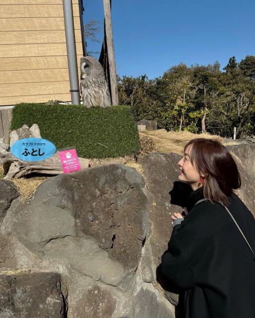 無言の会話、でも確かに通じてる！〇〇との出会い