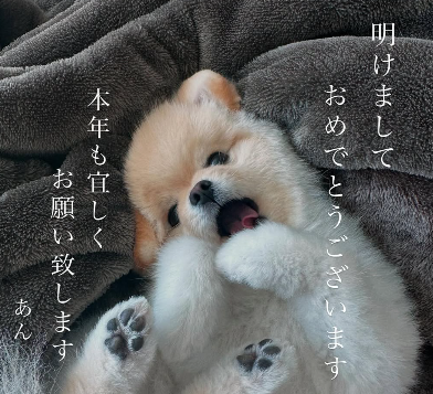 戸郷翔征、新年の抱負を投稿「日本一目指して頑張ります！」