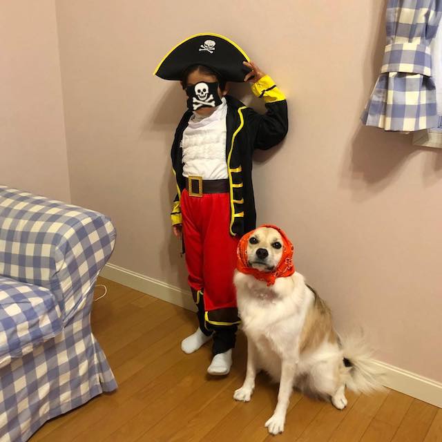Peco家のハロウィン🎃👻 息子と愛犬が○○に変身⁉️😳
